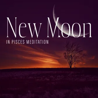 New Moon in Pisces Meditation: Control your Emotions and Learn how to be Happy by Moonlight Shadow Universe