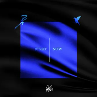 Right Now by NURKO