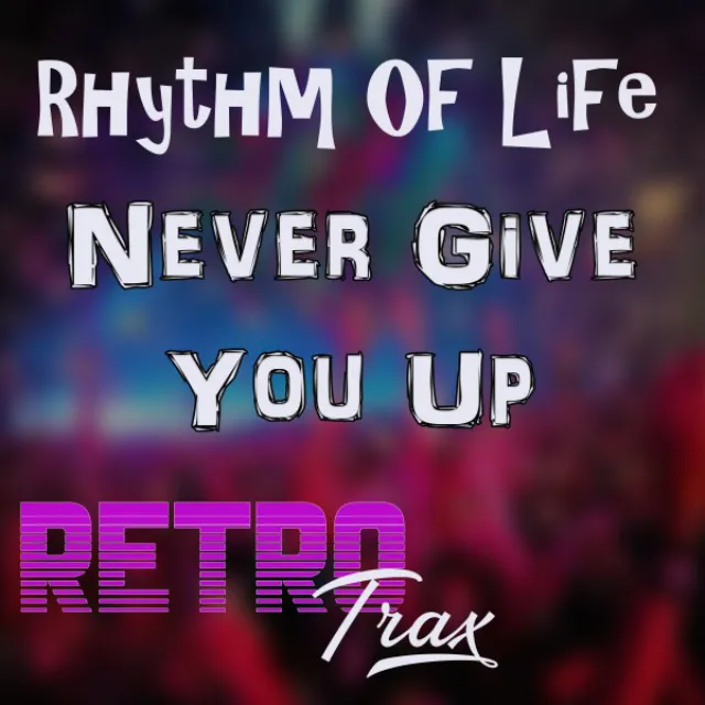 Never Give You Up - Original Mix