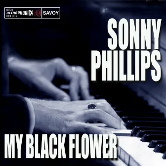 My Black Flower by Sonny Phillips