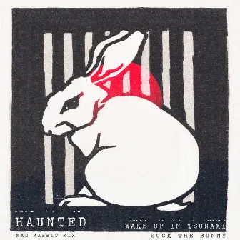 HAUNTED (Mad Rabbit Mix) by Suck the Bunny