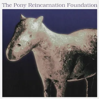 The Pony Reincarnation Foundation by Lo-Fang