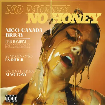 No Money No Honey by Nico Canada