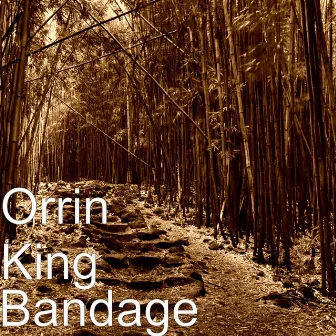 Bandage by Orrin King