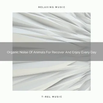 Organic Noise Of Animals For Recover And Enjoy Every Day by White Relaxing Placid Noise