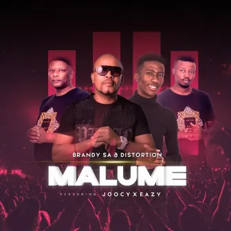 Malume by Distortion