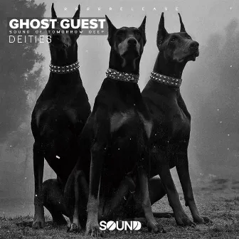 Ghost Guest by Deities