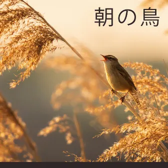 朝の鳥: リラクゼーション, 静けさ, 調和 by Singing Birds Zone