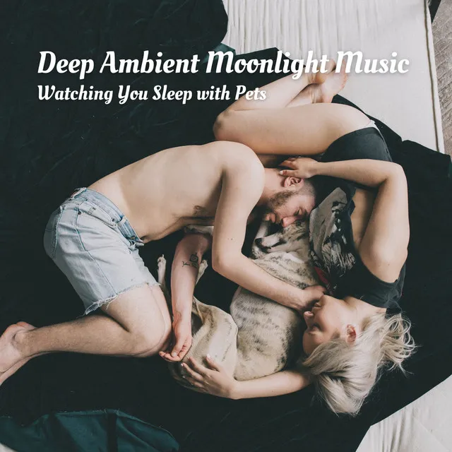 Deep Ambient Moonlight Music: Watching You Sleep with Pets