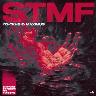 STMF by MAXIMUS