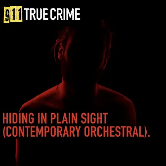 Hiding in Plain Sight (Contemporary Orchestral) by Alexander Bradley