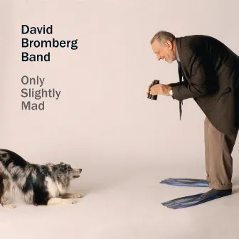 Only Slightly Mad by The David Bromberg Band