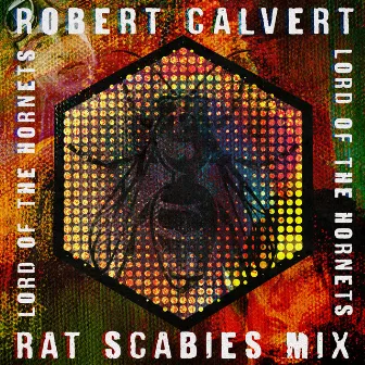 Lord of the Hornets (Rat Scabies Remix) by Rat Scabies