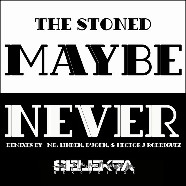 Maybe Never - Hector J Rodriguez Remix