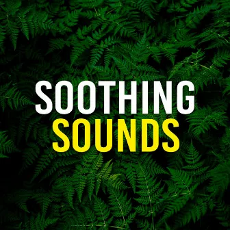 Soothing Sounds by Hypnosis Therapy