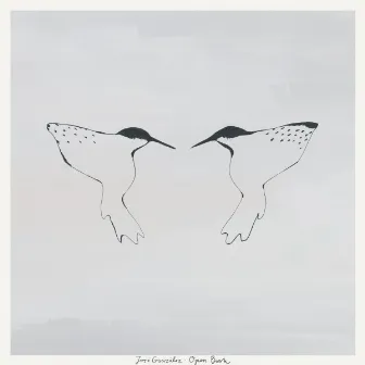 Open Book - Single by José González