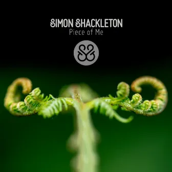 Piece of Me by Simon Shackleton