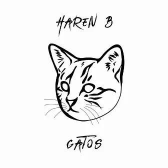 Gatos by Haren B