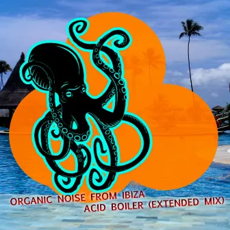 Acid Boiler (Extended Mix) by Organic Noise From Ibiza