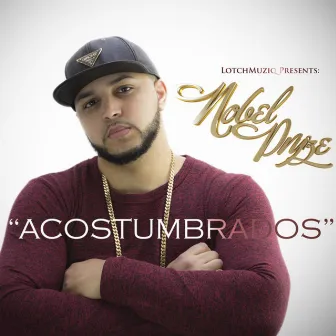 Acostumbrados by Nobel Pryze