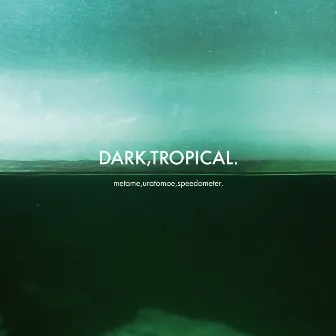 DARK,TROPICAL. by speedometer.