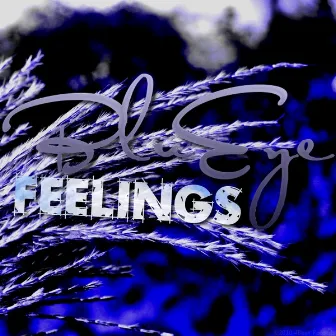 Feelings by Blueye