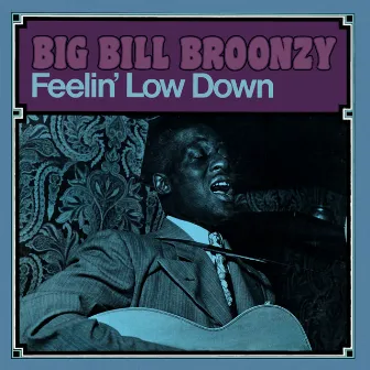 Feelin' Low Down by Big Bill Broonzy