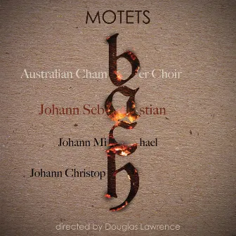 Bach Motets by Australian Chamber Choir