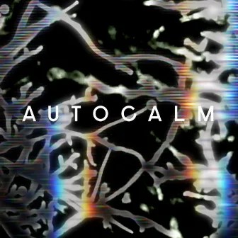 Autocalm by Rob Shields