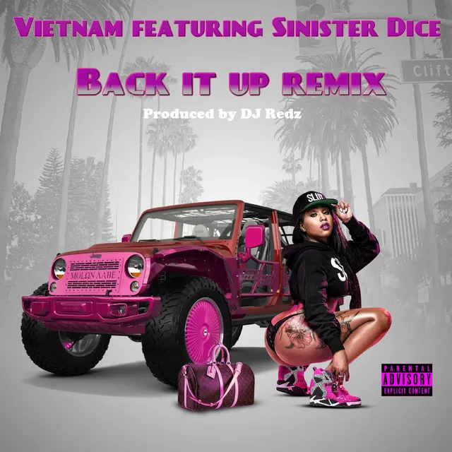 Back It Up - Remix