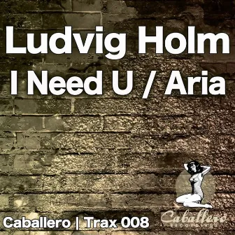 I Need U / Aria by Ludvig Holm