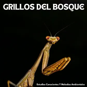 Grillos Del Bosque: Estudios Conscientes Y Melodías Ambientales by Sonidos de estudio