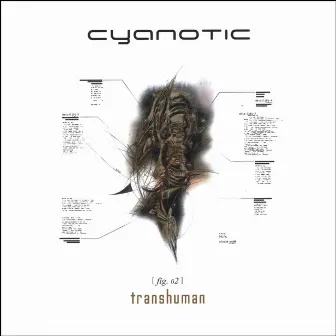 Transhuman by Cyanotic