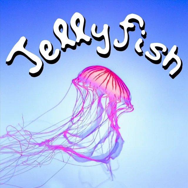 Jellyfish