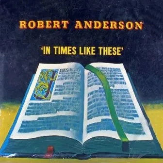 In Times Like These by Robert Anderson