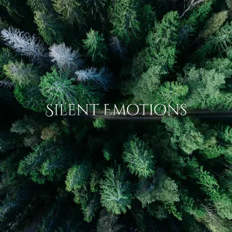 Musical Silent Relax by Silent Emotions