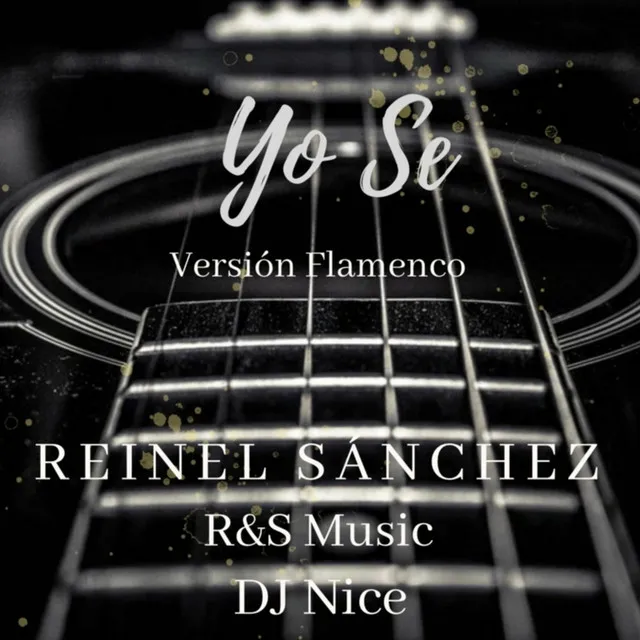 Yo Se (Versión Flamenco)