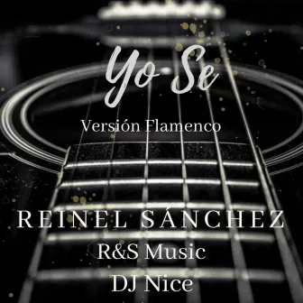 Yo Se (Versión Flamenco) by Dj Nice