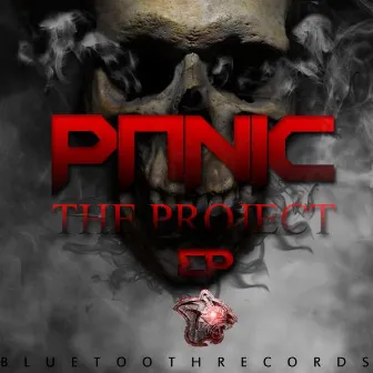 The Project by Panic