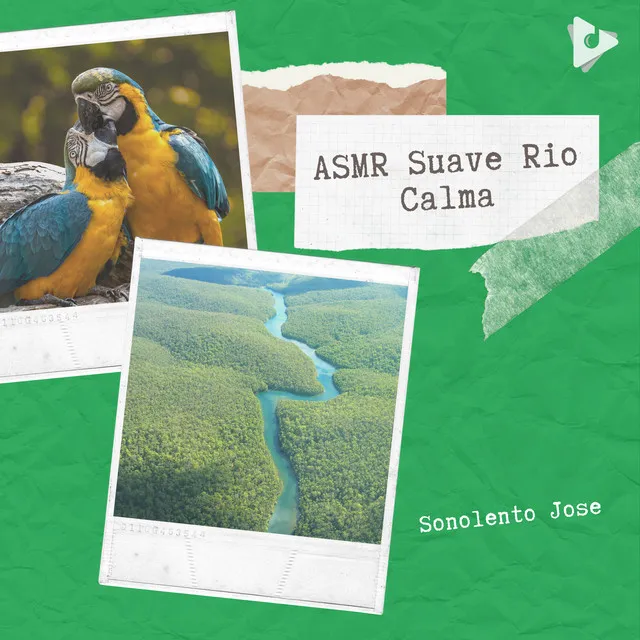 Aves ambiente para Cat Estimulação