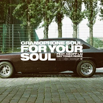 For Your Soul by Gramophone Soul