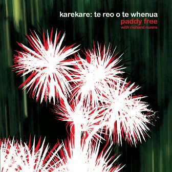 Karekare: Te Reo O Te Whenua by Paddy Free