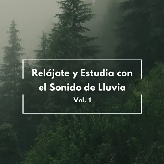 Relájate Y Estudia Con El Sonido De Lluvia Vol. 1 by Sonidos de estudio