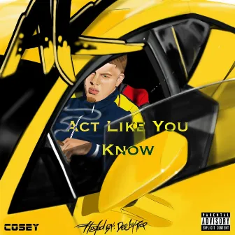 Act Like You Know by AK