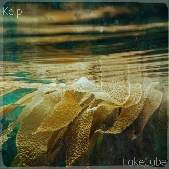 Kelp by LakeCube