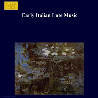 Early Italian Lute Music by Franklin Lei