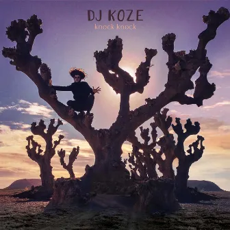 Knock Knock by DJ Koze