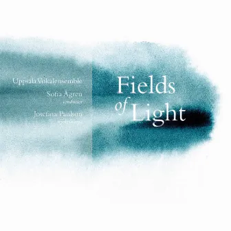 Fields of Light by Sofia Ågren