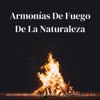 Armonías De Fuego De La Naturaleza: Melodías Ambientales Para Una Atmósfera Serena De Spa by Spa Música Relajación Meditación Masters