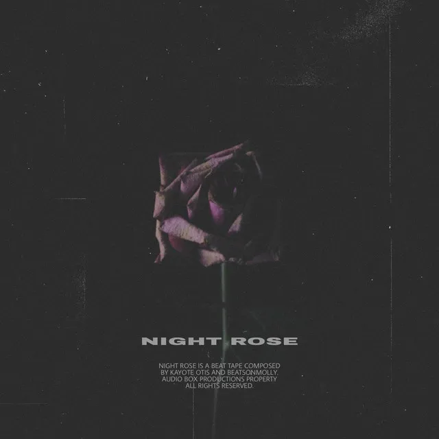 Night Rose